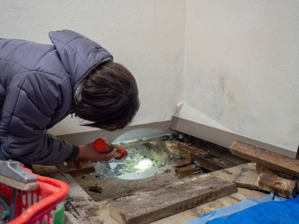 Best Airborne Mold Testing  in Ashland City, TN