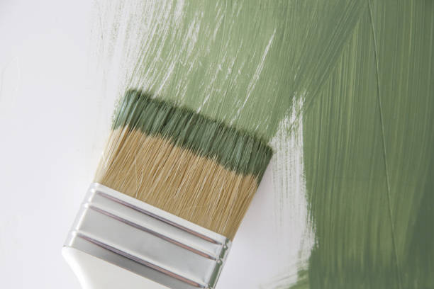 Best Mold Removal for HVAC Installations  in Ashland City, TN