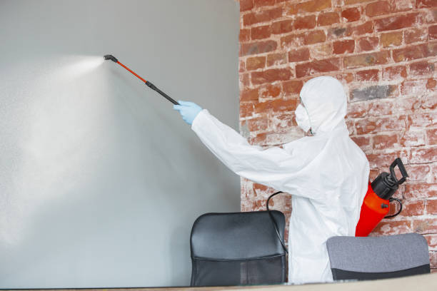 Professional Mold Removal in Ashland City, TN