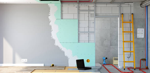 Best Asbestos and Lead Testing During Mold Inspection  in Ashland City, TN