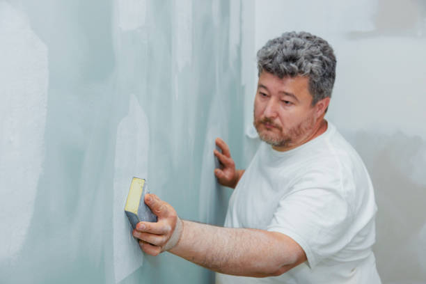 Best Black Mold Removal  in Ashland City, TN