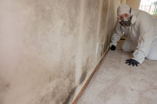 Best Forensic Mold Investigation  in Ashland City, TN