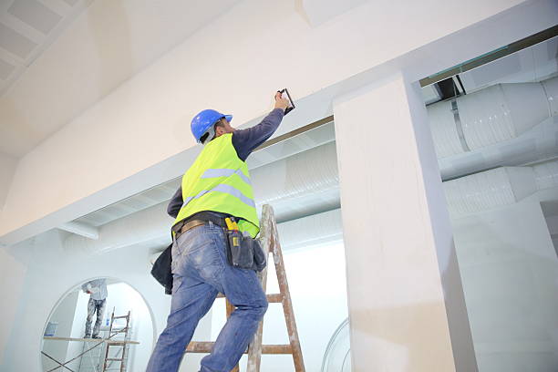 Best Basement Mold Removal  in Ashland City, TN