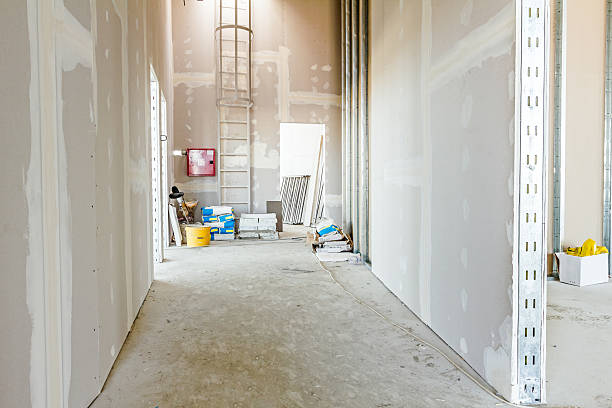 Biohazard Mold Removal in Ashland City, TN