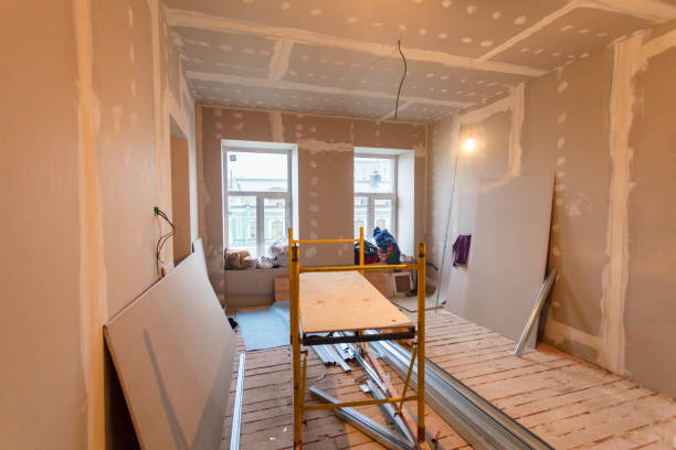 Best Mold Odor Removal Services  in Ashland City, TN